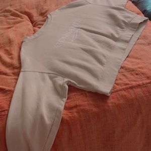 ÉTONNANTE taupe crop top sweater